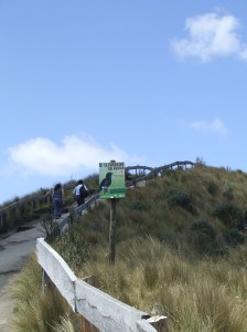 This sign was one of many small goals we set as we hiked. 